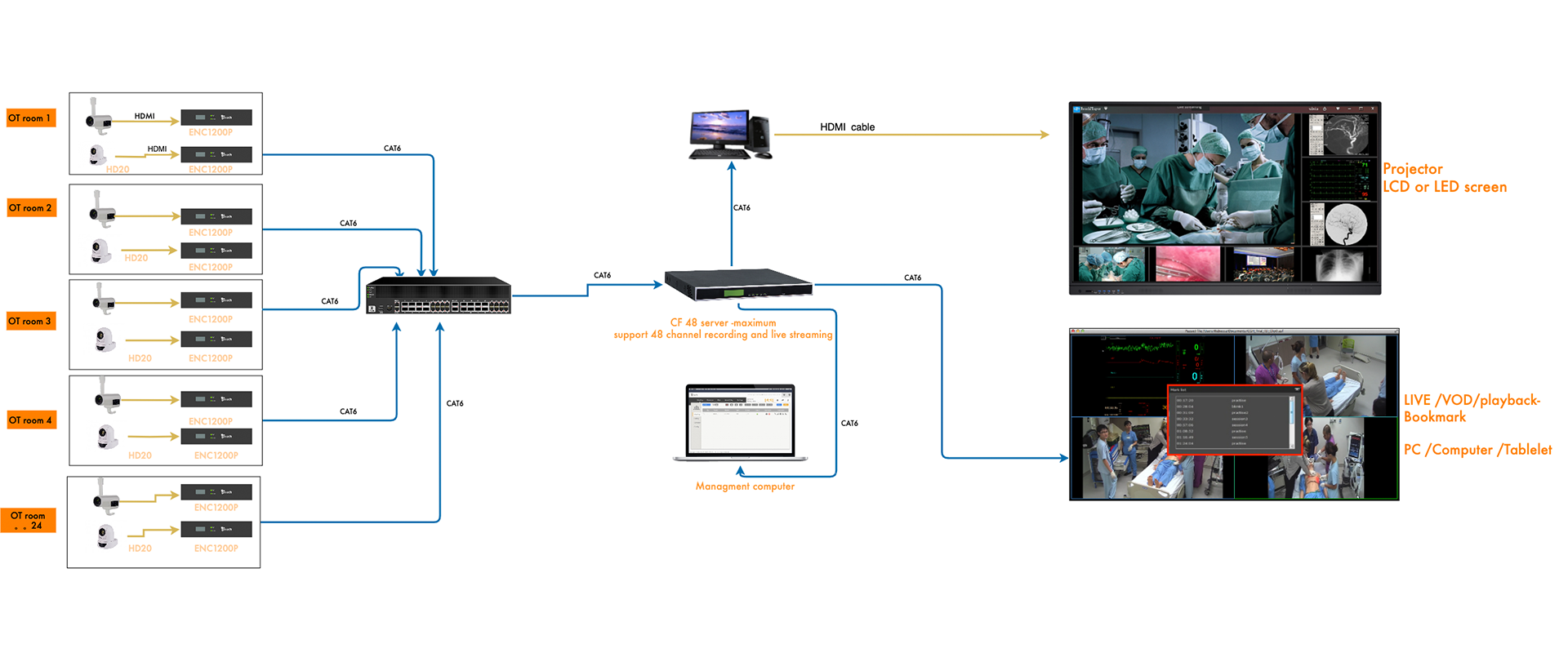 REX 醫療連接圖 1920 800.png